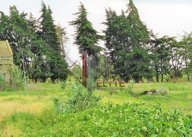 Terreno Dilar 180k (10)